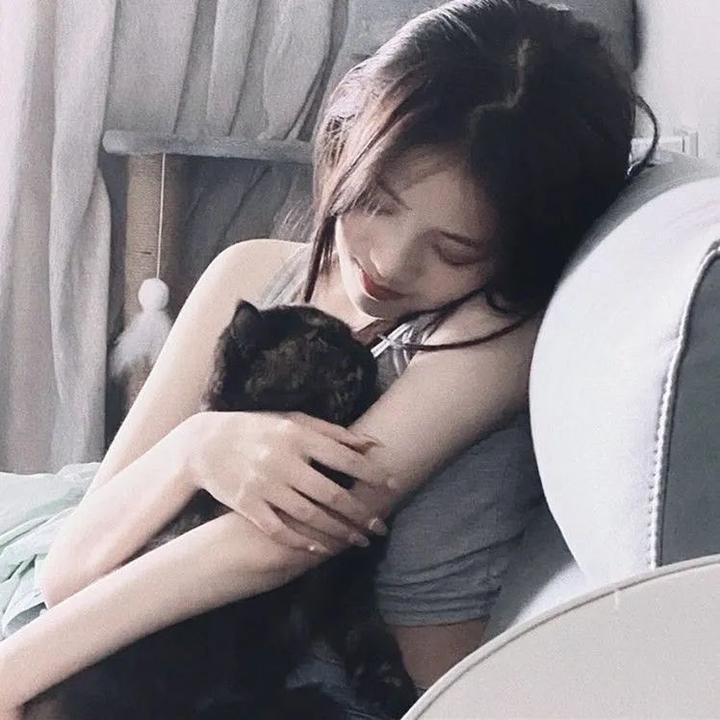 南极物语
